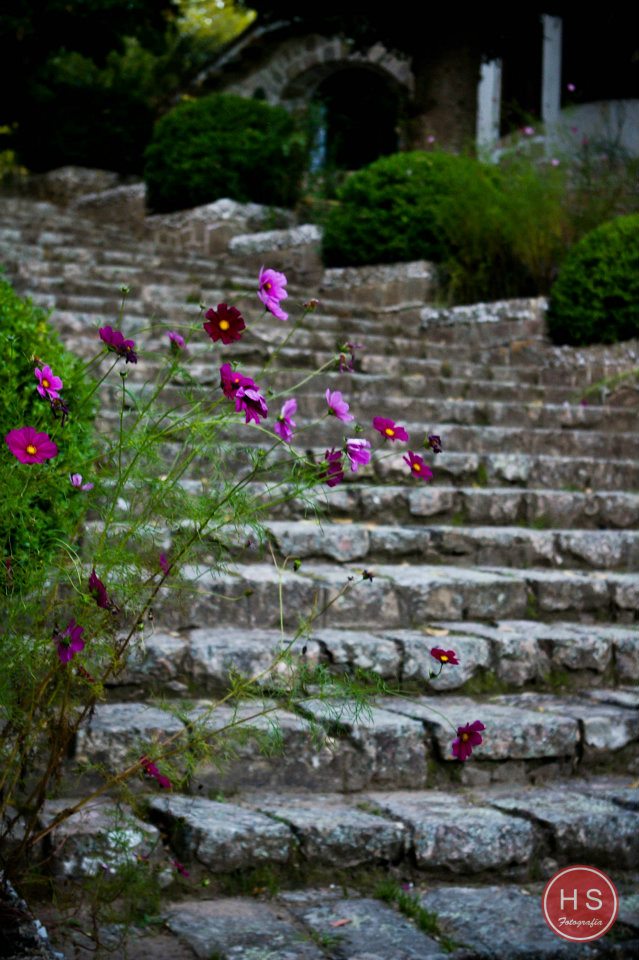 escalera-y-cosmos.jpg