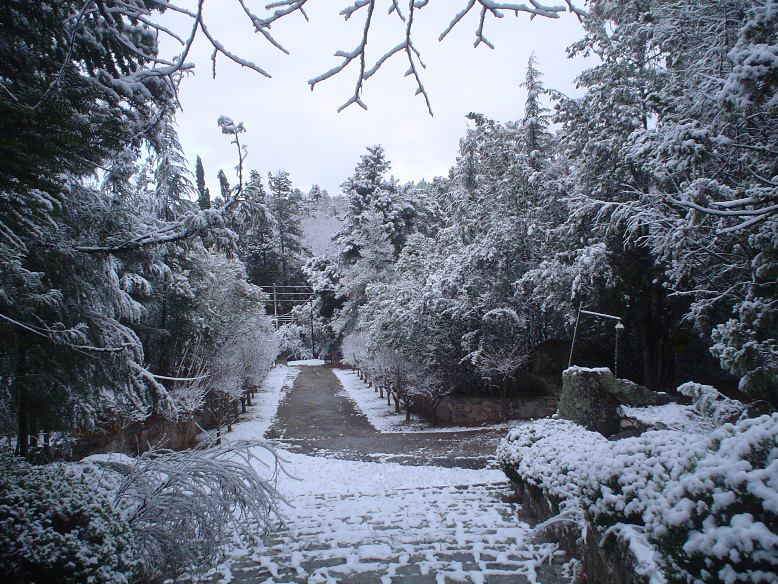 invierno-2.jpg